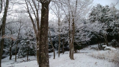白州の冬景色