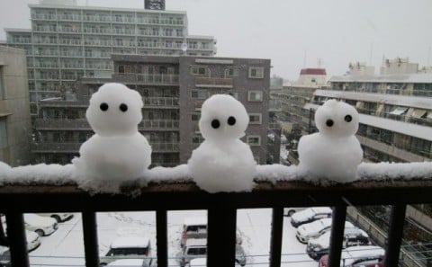 東京の雪だるま